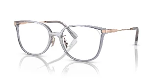 Coach Eyeglasses HC6214D