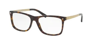 3106 Dark Tortoise Acetate