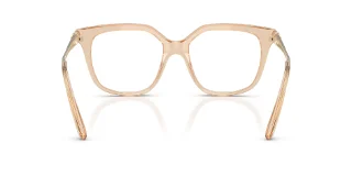Swarovski Eyeglasses SK2059