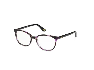055 Violet/Havana/Violet/Havana