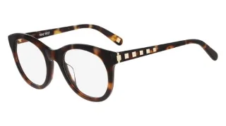 218 Soft Tortoise