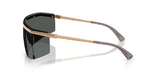 Michael Kors Sunglasses MK1169