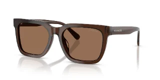 597373 Transparent Brown