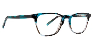 Tortoise/Blue