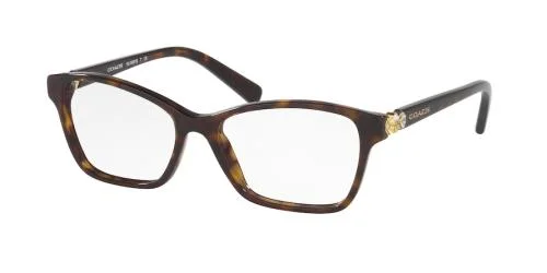 Coach Eyeglasses HC6091B