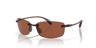 907101 Tortoise