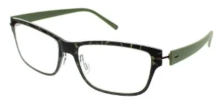 Olive Tortoise
