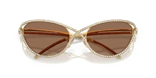 Swarovski Sunglasses SK7025