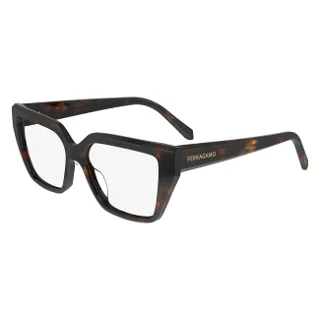 242 Dark Tortoise