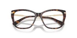 Swarovski Eyeglasses SK2060