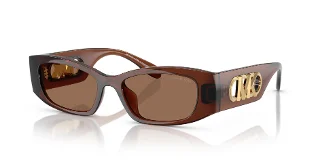 402173 Brown Transparent