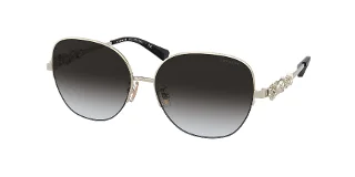 Coach Sunglasses HC7118B