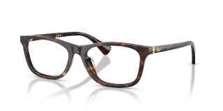 5003 Shiny Dark Havana