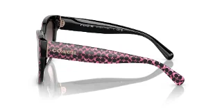Coach Sunglasses HC8379F
