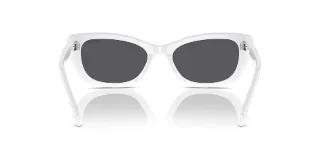 Swarovski Sunglasses SK6019F