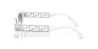 Versace Sunglasses VE4501