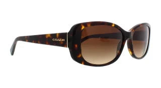 Coach Sunglasses HC8168 L156