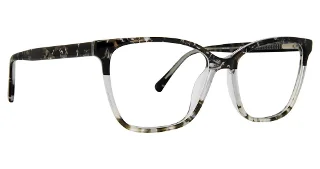 Tortoise/Grey