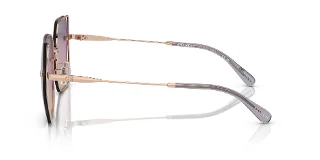 Coach Sunglasses HC7150D