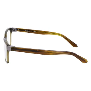 Dragon Eyeglasses DR7013 N