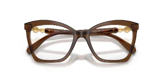 Swarovski Eyeglasses SK2053