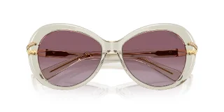 Swarovski Sunglasses SK6026F