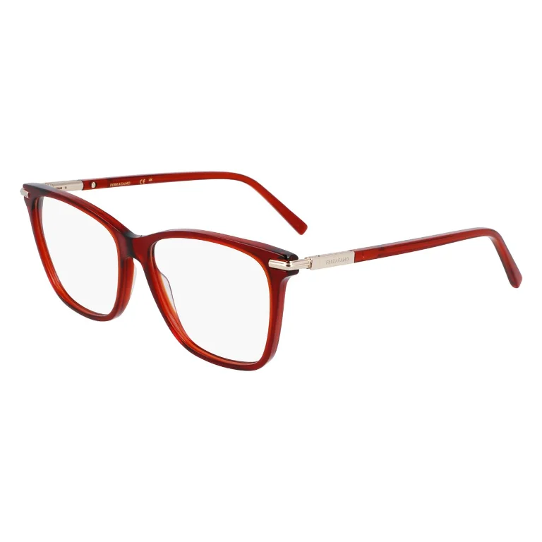 Salvatore Ferragamo Eyeglasses SF3013