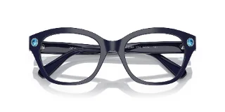 Swarovski Eyeglasses SK2038F