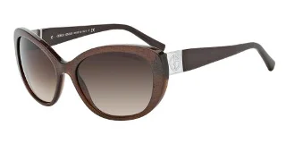 Giorgio Armani Sunglasses AR8030H