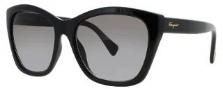 Salvatore Ferragamo Sunglasses 957S