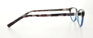 Dkny Eyeglasses DY4633