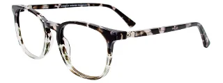 020 Grey Tortoise
