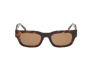 Abercrombie & Fitch Sunglasses AF00037