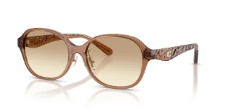 565413 Transparent Brown