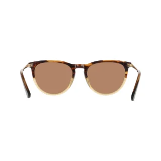 Cole Haan Sunglasses CH6507