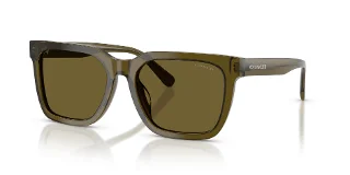 591073 Transparent Olive