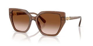 106713 Transparent Brown