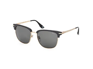 20D Shiny Grey/Matte Pale Gold