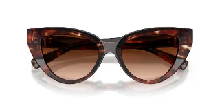 Dolce & Gabbana Sunglasses DG4497