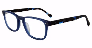 Lucky Brand Eyeglasses VLBD427