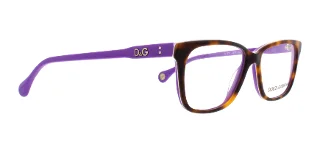 D&G Eyeglasses DD1238