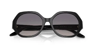 Ralph Lauren Sunglasses RL8208
