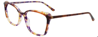 080 Brown Tortoise