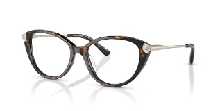 3006 Dark Tortoise