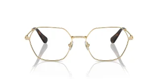 Swarovski Eyeglasses SK1011