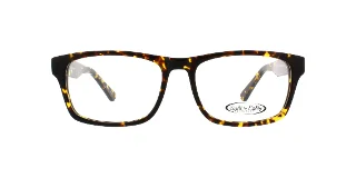Eight to Eighty Eyeglasses Dennis