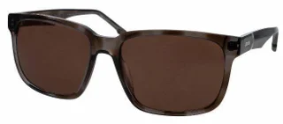 GREY TORTOISE