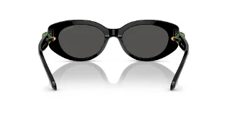 Swarovski Sunglasses SK6002F