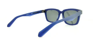 Dragon Sunglasses DR510S ROBBS