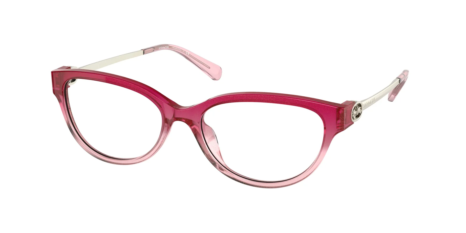 Coach Eyeglasses HC6171U